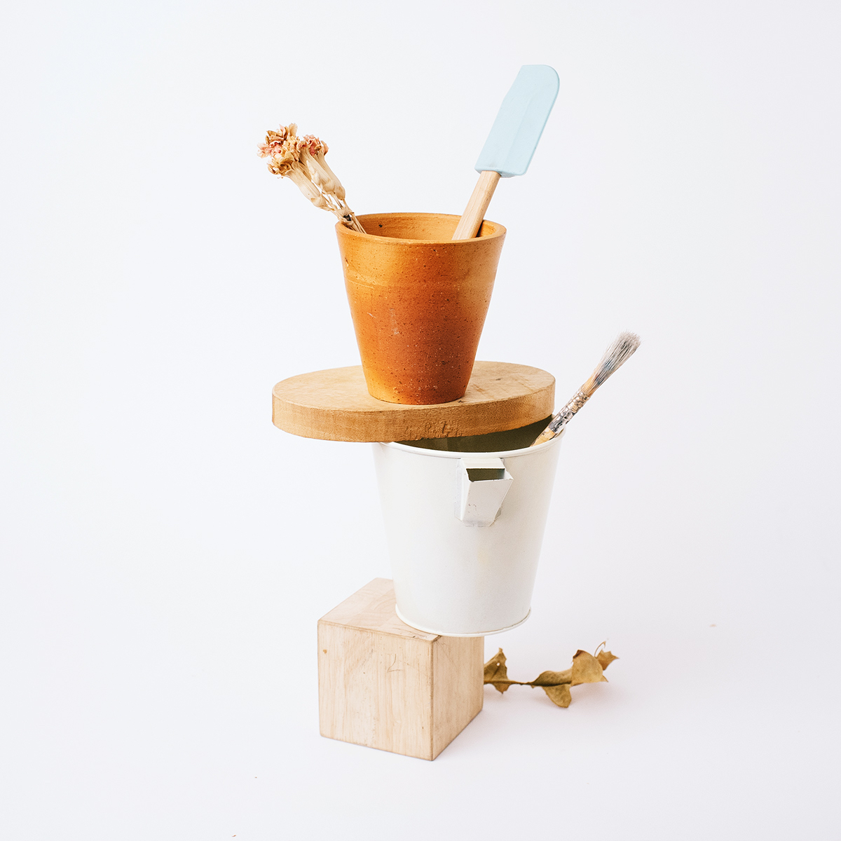 Observation and structure