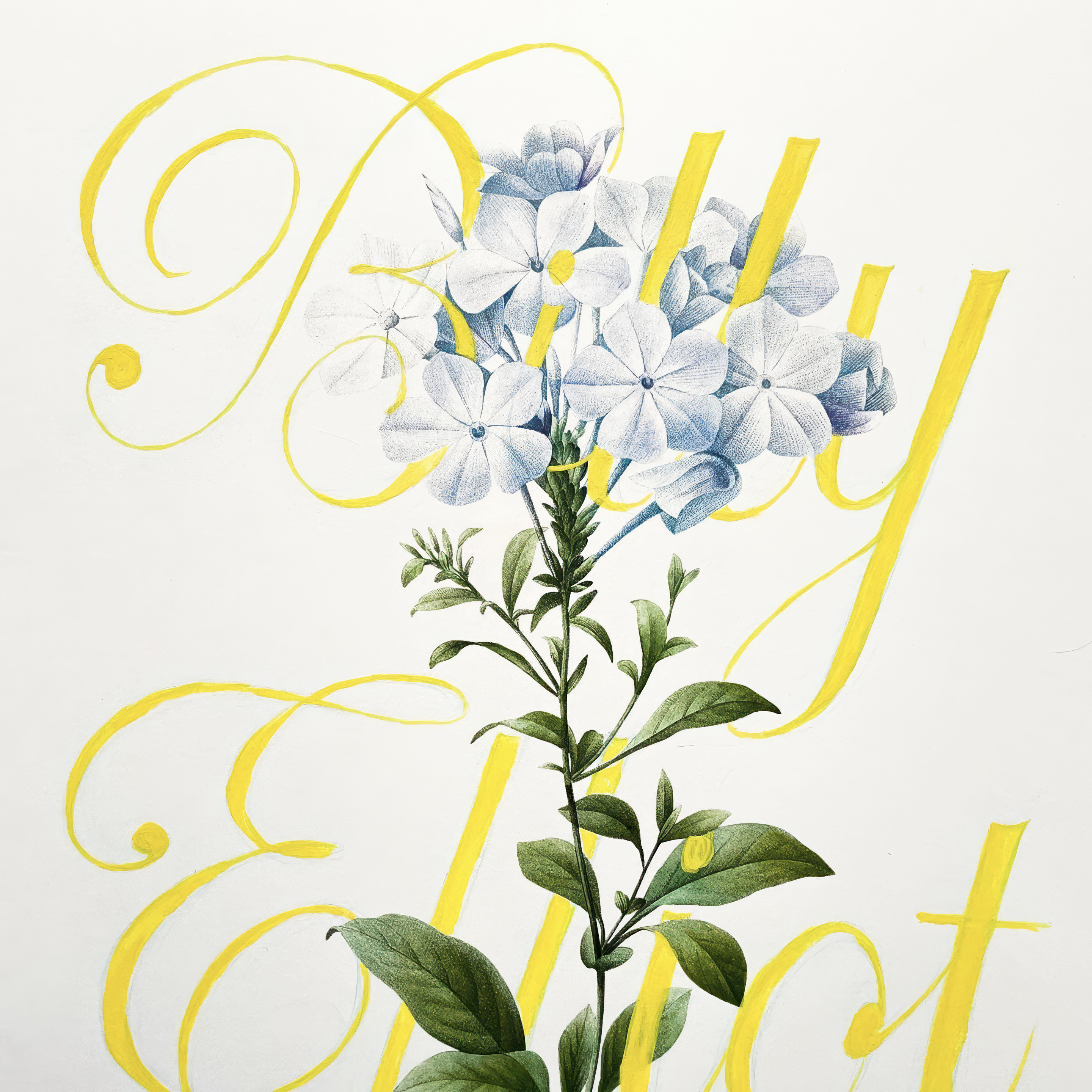 Typography workspace